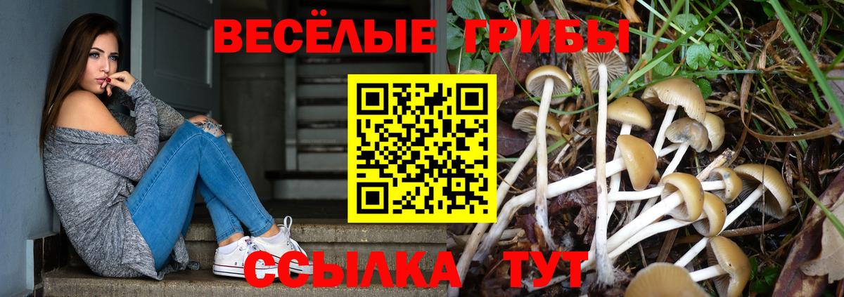 Артёмовский  Галлюциногенные грибы Psilocybe  Вход с VPN 